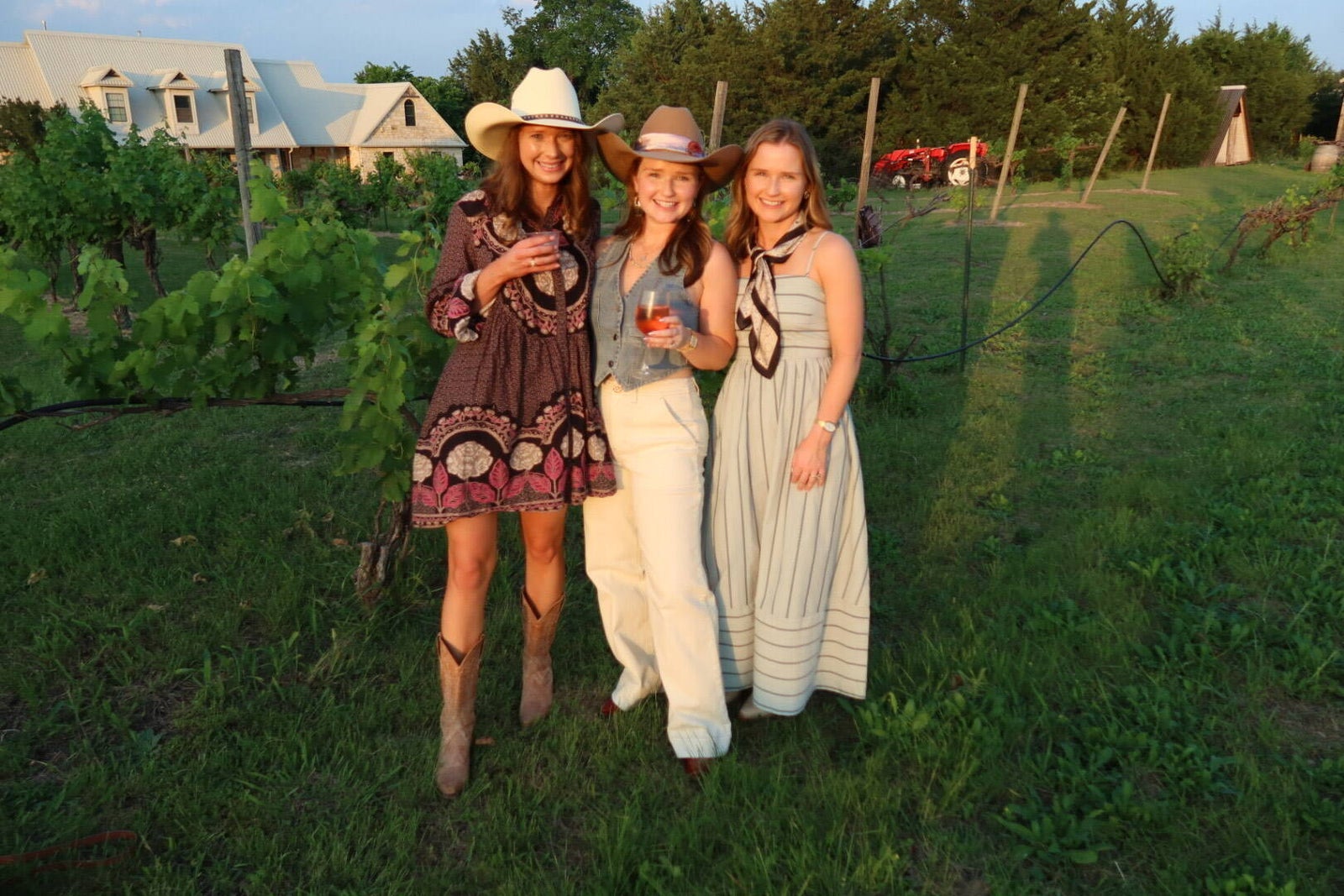 Three friends enjoying wine beside vineyard rows